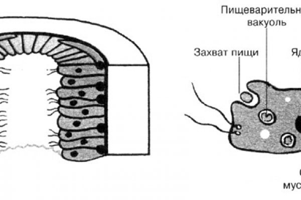 Онион сайты список 2023