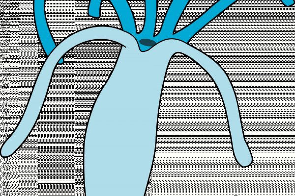 Ссылка на сайт кракен онион 2krn.cc