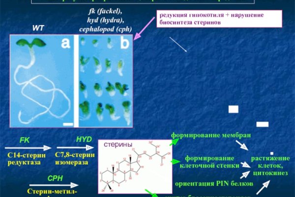 Сайт кракен россия