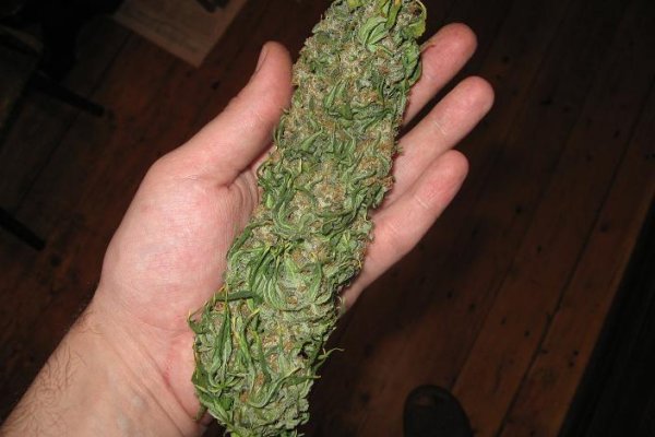 Kraken ссылка тор 2krnk biz kraken17ate pro