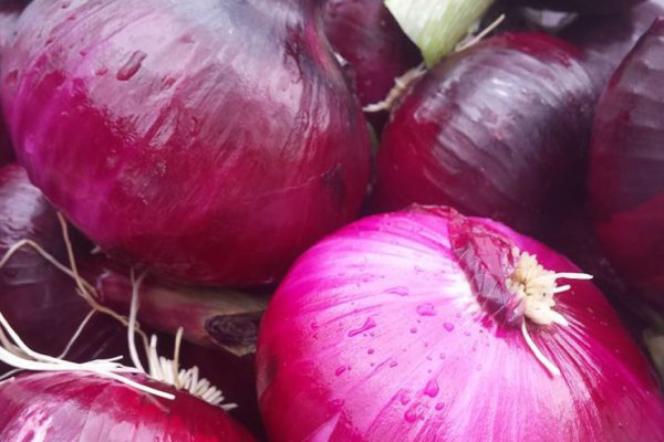 Знают ли власти про маркетплейс кракен