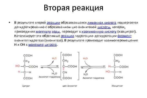 Блэкспрут анион официальный сайт