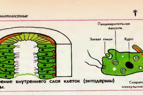 Кракен маркет плейс