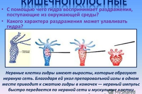 Кракен купить наркотики