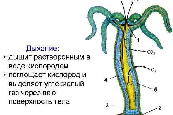 Omg официальный сайт ссылка